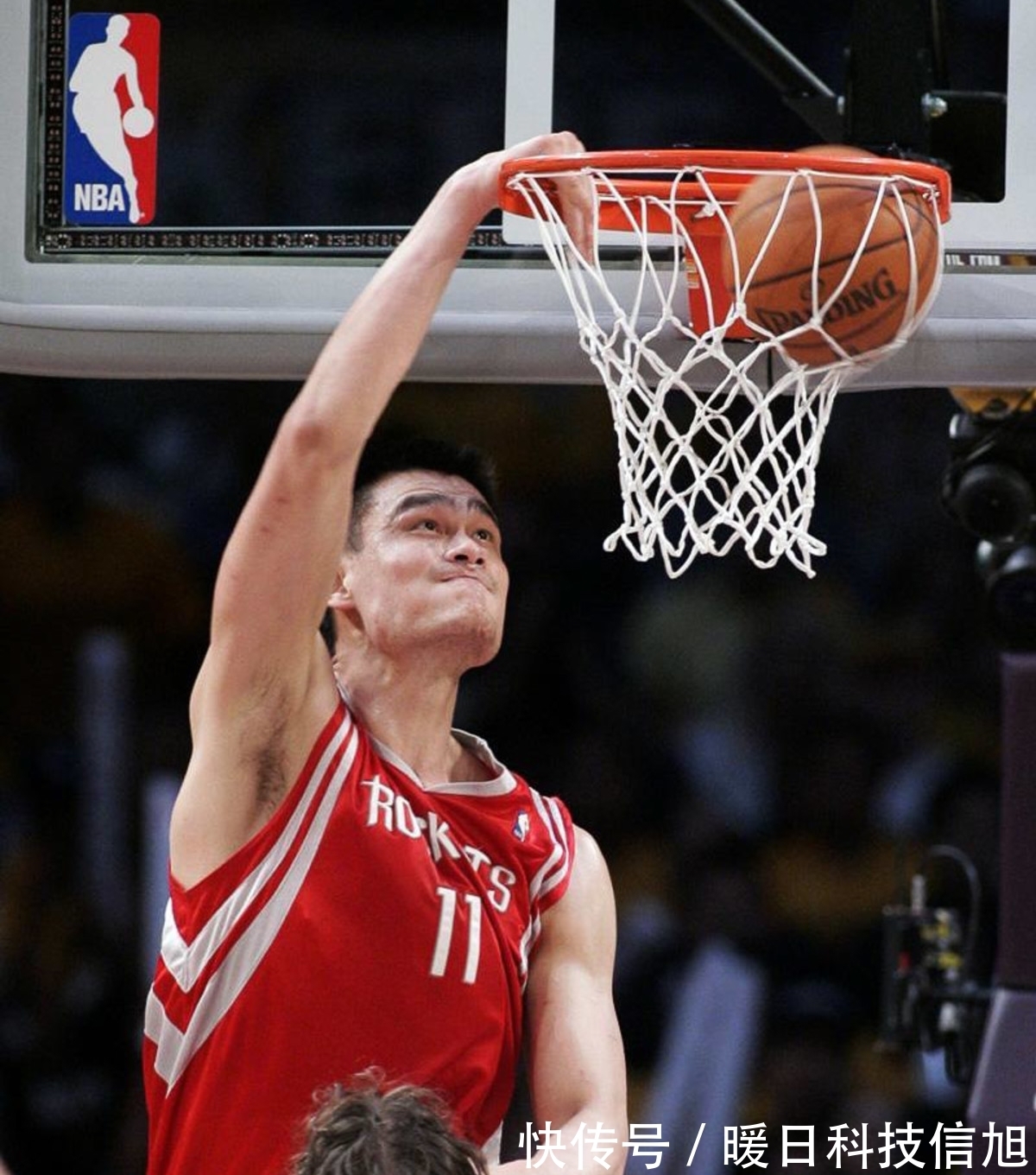 杯的赛场上 杯的赛场上